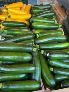 courgettes-bio-morbihan