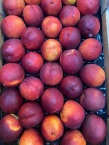 nectarine-bio-morbihan